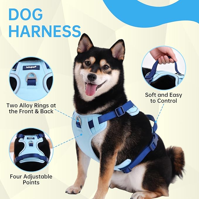 No Pull Dog Harness Leash and Collar Set, Soft Adjustable Dogs Vest Reflective and Comfortable Handle Blue Medium