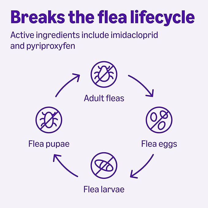 Amazon Basics Topical Flea Treatment for Large Cats (Over 9 pounds), 6 Count, Packaging May Vary
