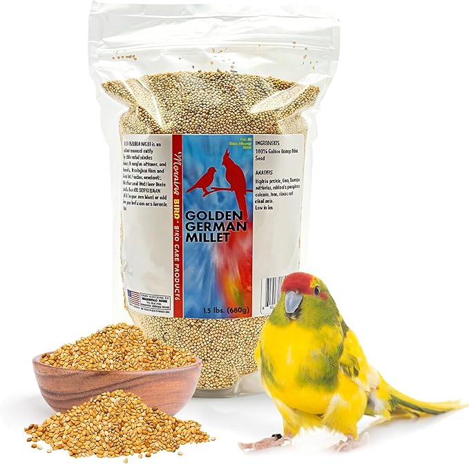 Morning Bird Golden German Millet 1.5 lbs – Natural Millet Seed for Birds – Natural Protein & Fiber Source – Easy-to-Digest Daily Nutrition for All Bird Types
