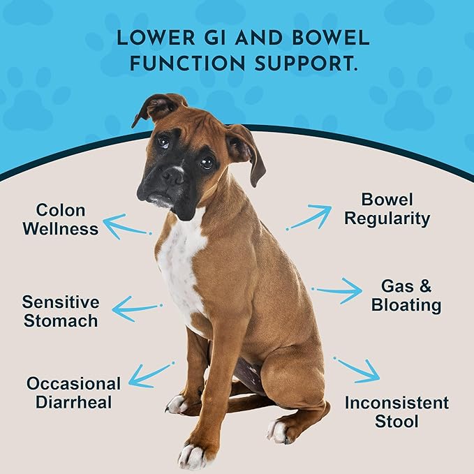 Animal Essentials Colon Rescue Powder - Herbal Digestive Aid for Dogs & Cats, Phytomucil, Healthy Gastrointestinal Tract, Certified Organic Herbs, No Preservatives, Glycerin-Based Formula - 1 Oz