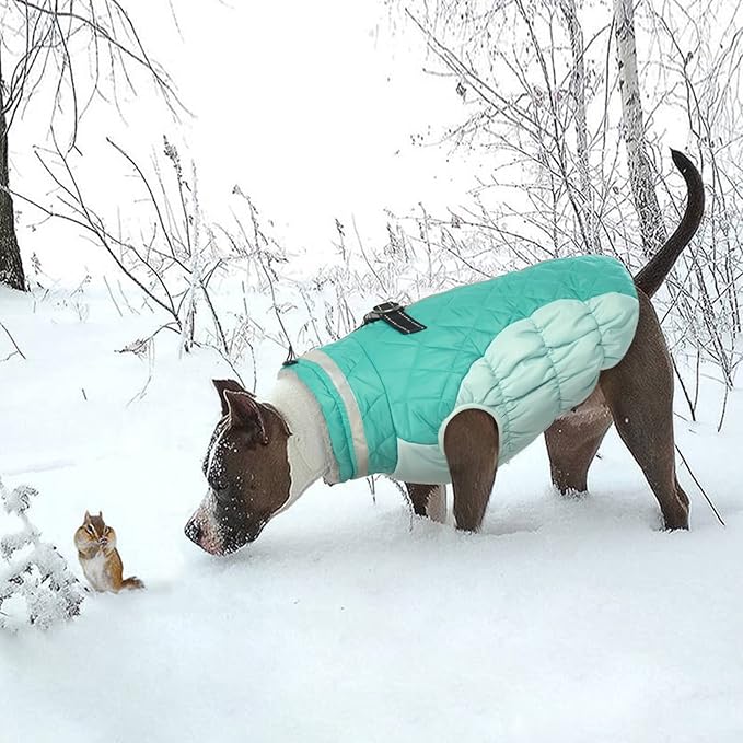 Lelepet Dog Coat Warm Dog Winter Coat Waterproof Dogs Jacket with Harness Built in Reflective Pet Fleece Vest Zip-Up Cold Weather Coats for Medium Dogs Turtleneck Windproof Dachshund Mint Green M