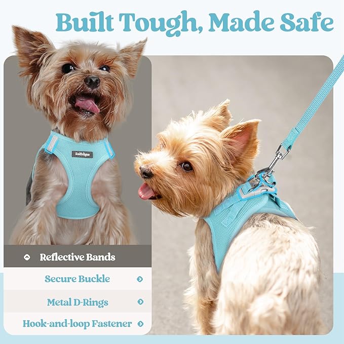 rabbitgoo Dog Harness Small Sized and Leash Set, Step in Soft Light Puppy Vest, Breathable Mesh Pet Harness, Reflective for Safe Easy Walking, Mint Blue S