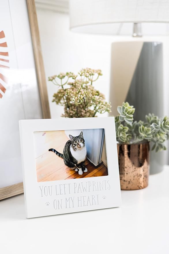 Pearhead “You Left Pawprints on My Heart” Pet Memorial Picture Frame, Dog or Cat Sympathy Gift, Pet Loss Keepsake, 4x6 Photo Frame, White