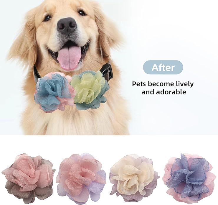 6Pcs Dog Collar Accessories, Floral Charms Decorations for Cats and Dogs