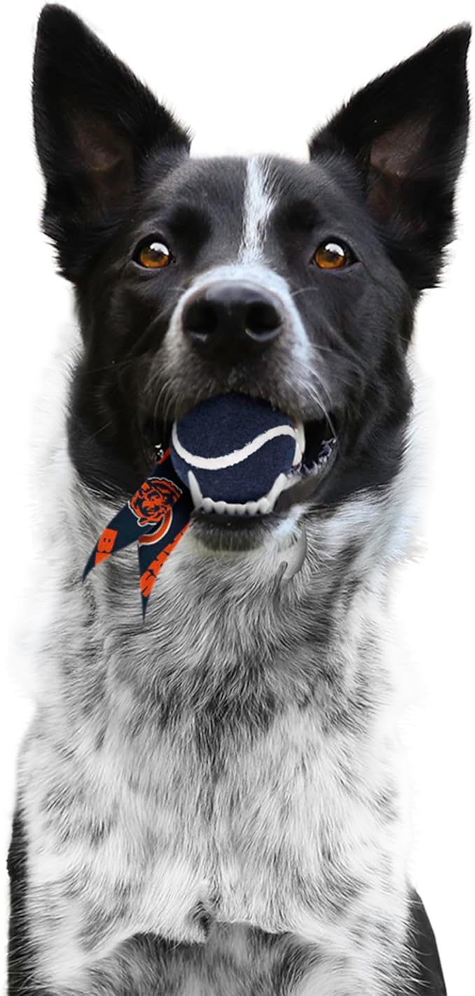 Littlearth NFL Pet Ball Launcher