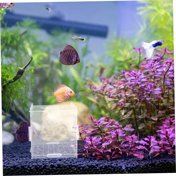 Box Aquarium Breeding Box Dual Purpose Acrylic Isolation Holder for Fish Shrimp Compact Incubator Hydroponic Separator Easy to Clean Maintain