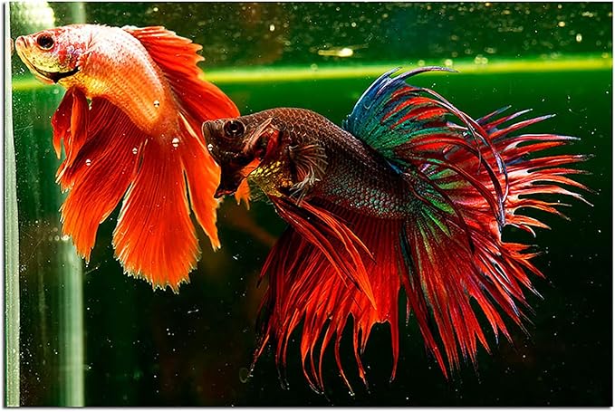 A.D.P. UTH Fish Food Fresh Artemia Cysts Brine Shrimp 45 g. Tropical Fish Food Grow Faster & Color Enhancer Slow Sinking Like Pellets High Protein 56% for All Baby Fry Newborn Fish Feed & Small Fish