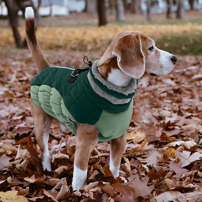 Lelepet Warm Dog Winter Coat Dog Coats for Small Dogs Waterproof Dogs Jacket with Harness Built in Reflective Cold Weather Coats Windproof Zip-Up Winter Fleece Vest Snowsuit Chihuahua Teal Green