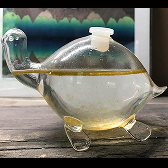 Bioluminescent Bio-Turtle Gift Option, Glass Turtle Micro-Aquarium, Redeemable PyroDino Card for Live PyroDinos and DinoNutrients