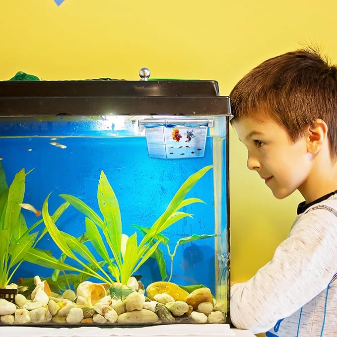 Wenqik Fish Breeder Box for Aquarium Fish Acclimation, Breeding, Hatchery Incubator Isolation Box for Shrimp Betta Guppy Cicilids Eggs(Small)
