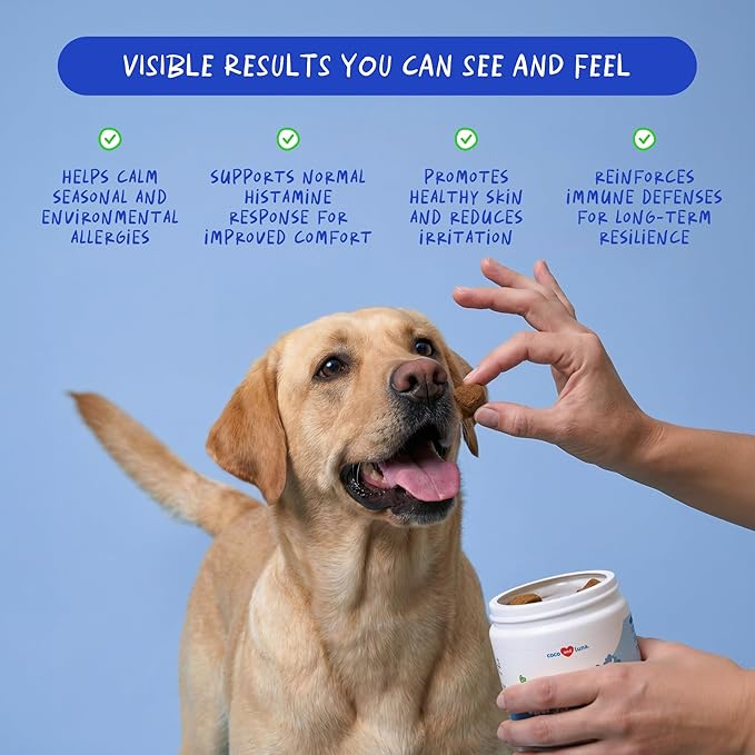 Allergy Support for Dogs - with Vitamin C, Omega 3 and Colostrum - Itch Relief, Allergy Relief for Dogs, Skin Soother - with Probiotics for Immune System Health (Soft Chews)
