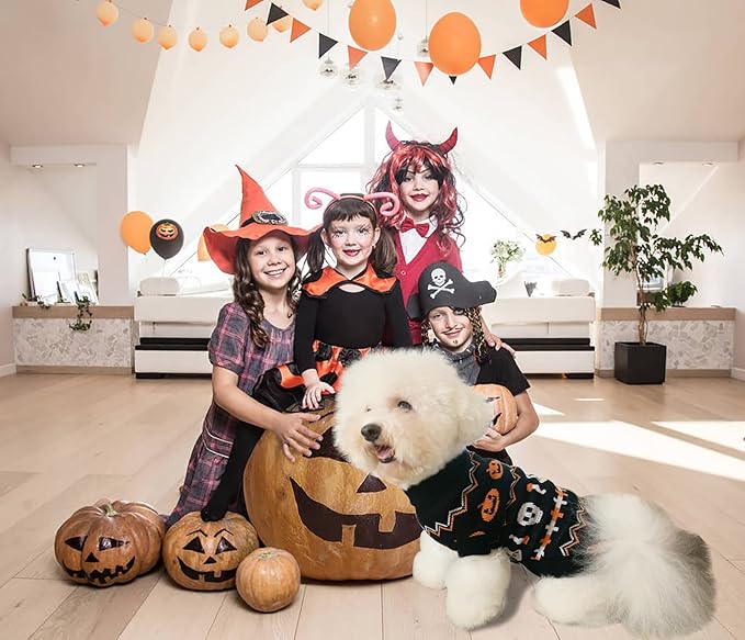 Vehomy 2Pcs Pet Halloween Sweaters Dog Halloween Pumpkin Sweater Kitten Cat Holiday Theme Turtleneck Knitwear Shirt with Pumpkin Skull Patterns Dog Puppy Halloween Costume Clothes for Small Dogs XL