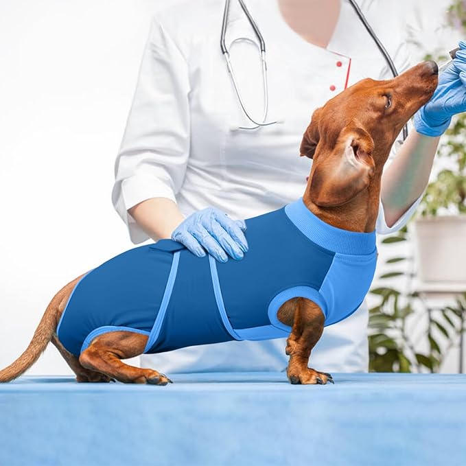 Kuoser Dog Recovery Suit, Female/Male Spay/Neuter Surgery Suit, Anti-Licking Pet Onesie, Blue, Small (7-15LB)