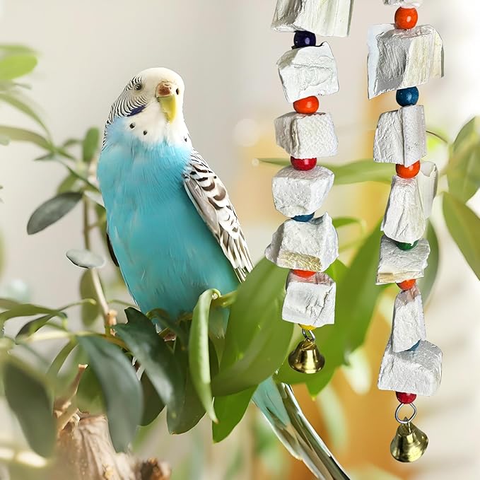 Hamiledyi 2 Pack Bird Toys with Eight Cuttlebone - Natural Calcium Chew Toy for Beak Grinding, Hanging Wooden Cage Accessories for Parakeets, Budgies, Cockatiels, Lovebirds(Style B)