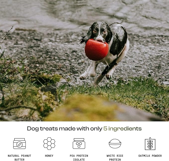 MDRNpup® Unique Dog Treats, Human Grade and All-Natural, Only Five Ingredients, High Protein - Amino Acids, Nothing Artificial, Soft Baked in The USA (13.2 Ounce, Veggie Protein Blend)