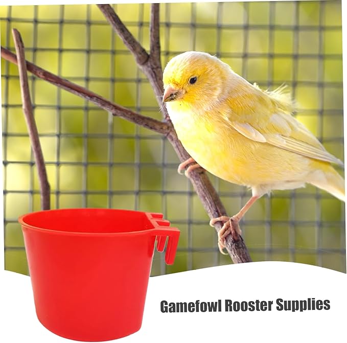 Gamefowl Rooster Supplies, 50PCS Plastic Pigeon Feeder, Hanging Chicken Feeder, Easy to Remove Bird Feeding & Watering Supplies for Pet Parrot Parakeet Poultry