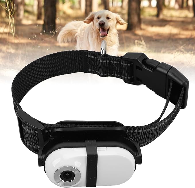 Cat Camera Collar, Pet Collar Camera with Memory Card, HD 1080P Wire Less Dog Tracker Camera Adjustable Mini Action Camera for Video Records (32GB)