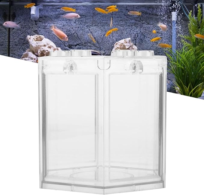 Small Gold Fish Tank, Betta Aquarium Mini Tank for Office Decoration (Transparent)