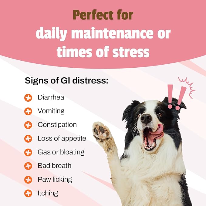 Pet Naturals Probiotics for Dogs – 160 Soft Chews, Dog Probiotic for Digestive & Gut Health Support with 120M CFUs + Prebiotics, Immune Support for Occasional Upset Stomach, Duck Flavor, All Breeds