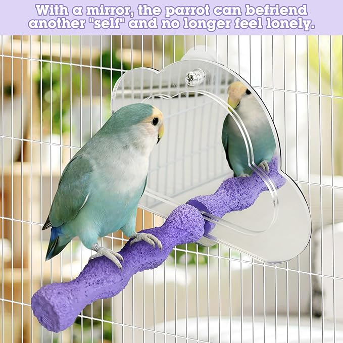 PINVNBY 2 PCS Bird Mirror with Perch Resin Parakeet Perches Hanging Parrot Toys Interactive Bird Cage Accessories for Cockatiel Conure Lovebird Finch (Purple)