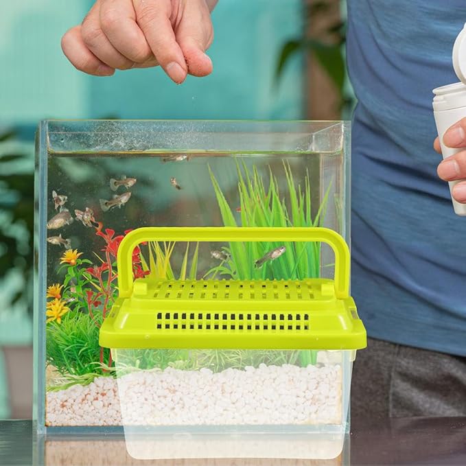 FRCOLOR 2pcs Portable Fish Tank Handheld Aquarium Transparent Turtle Box Pet Hamster Carrier Plastic Reptile Breeding Container, Multi-Color Lid