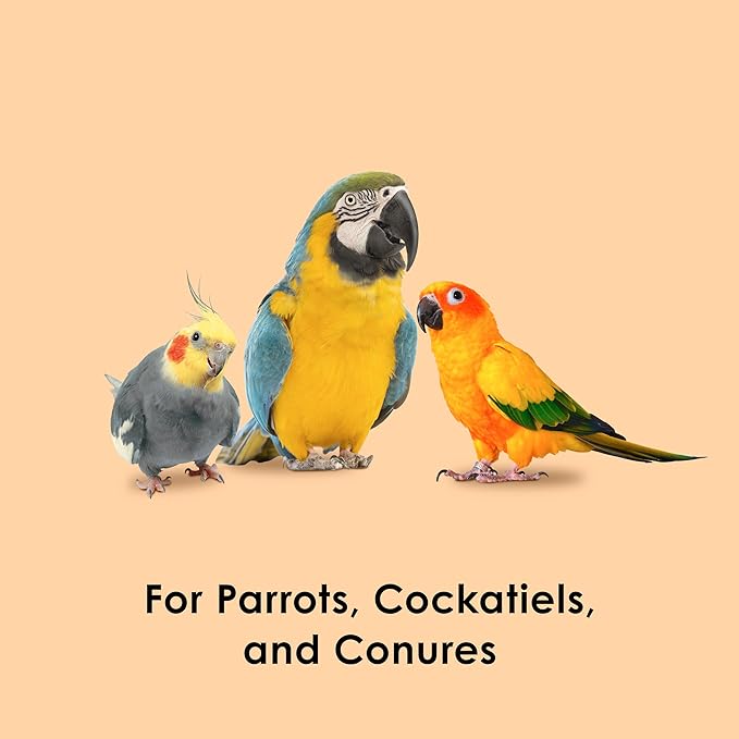 Kaytee Fiesta Healthy Toppings Papaya Bits For All Pet Birds, 2.5-Oz Bag