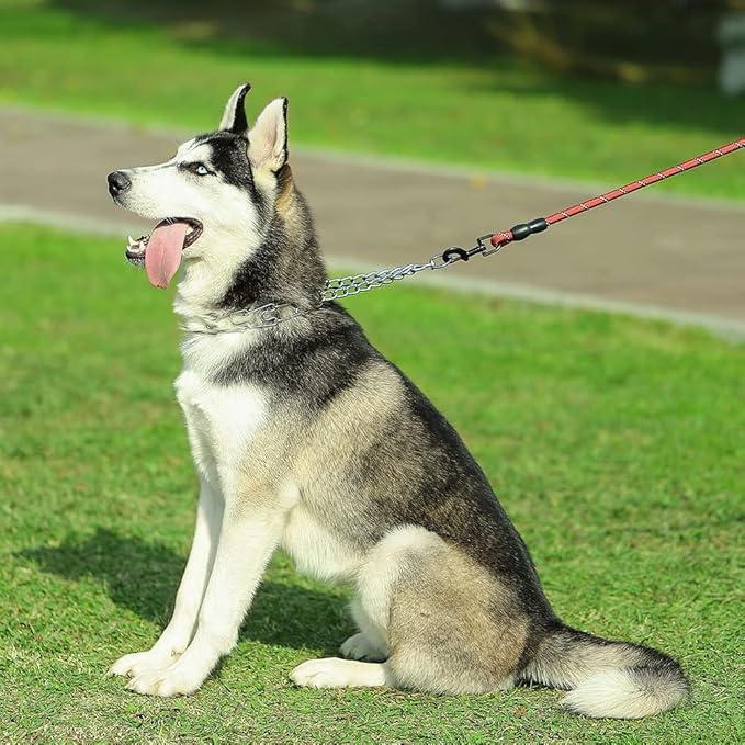 CBBPET Dog Prong Collar, Adjustable Dog Training Collar with Quick Release Buckle for Small Medium Large Dogs (Silver, M/3.0mNeck: 16"-18'' Weight:50 lbs)