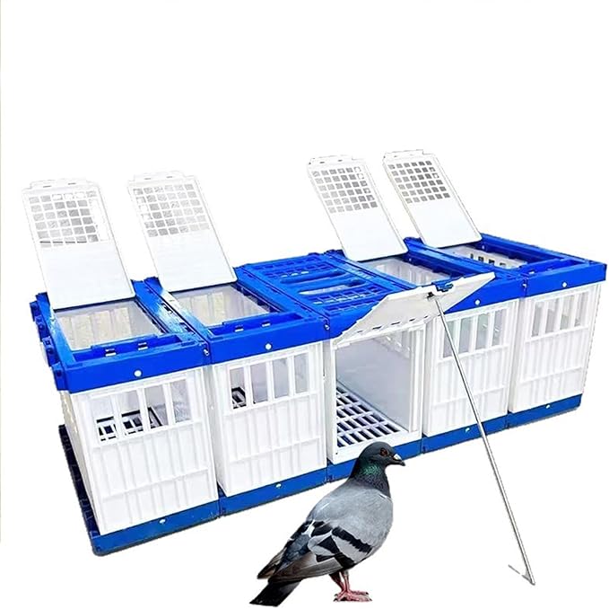 Foldable Bird Cage Carriers for Racing Pigeons Baby Parrots Outdoor Exercise