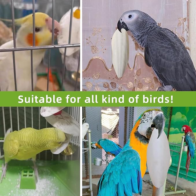 4.3"-4.7" Cuttlebone for Birds,Natural Cuttlefish Bone for Parakeets, Cuddle Bones for Sharp Beak, Premium Bird Calcium Stone for Parrots Budgie Cockatiel,12 Pcs