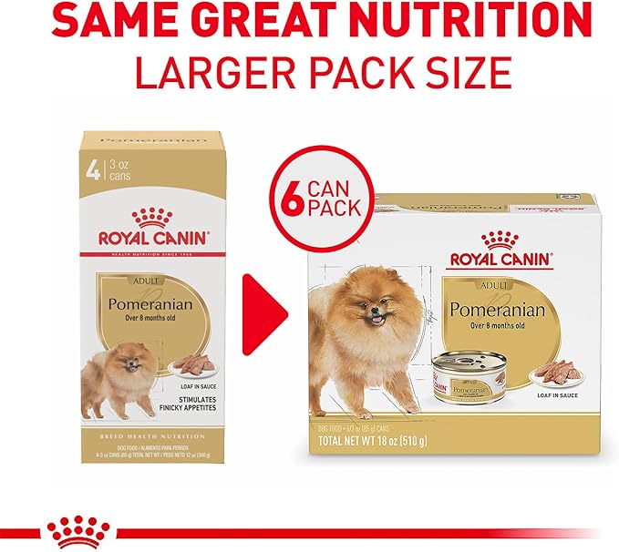 Royal Canin Breed Health Nutrition Pomeranian Adult Loaf in Sauce Dog Food, 3 oz (Pack of 6)