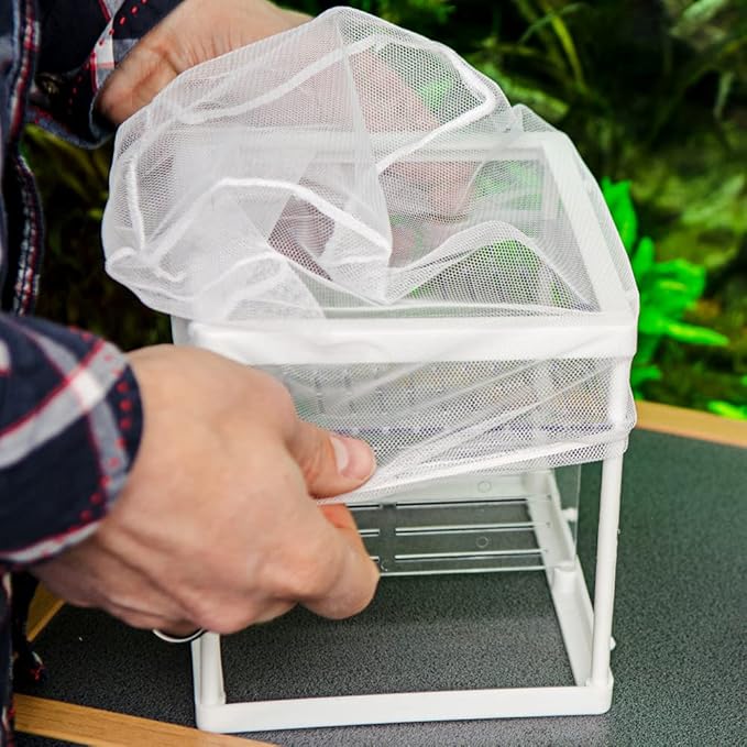 Hobby Nido 3.1, Ablaichbehlter, 16x16x14 cm, Plastic Fish Breeding Tank, Vivarium Brood Box