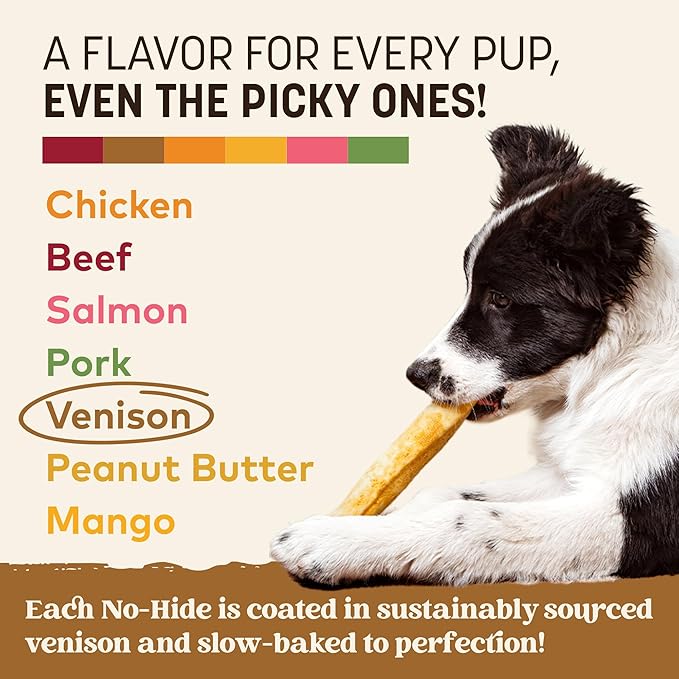 Earth Animal No Hide Chews - Long Lasting Rawhide Free Medium Dog Chews Rolls, Venison - 6 Count
