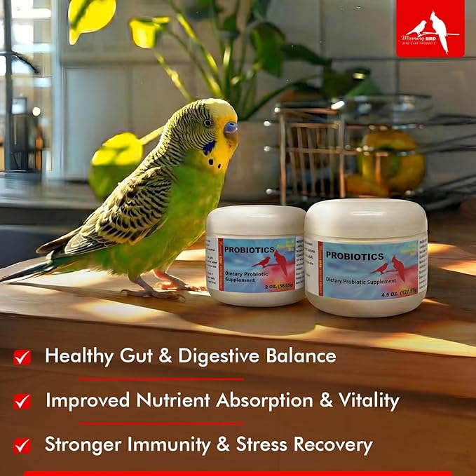Morning Bird Probiotics for Birds 2 oz – Digestive Health Supplement Supporting Gut Balance, Nutrient Absorption, & Immune Support – Easy Mix Powder Supplement for All Bird Species