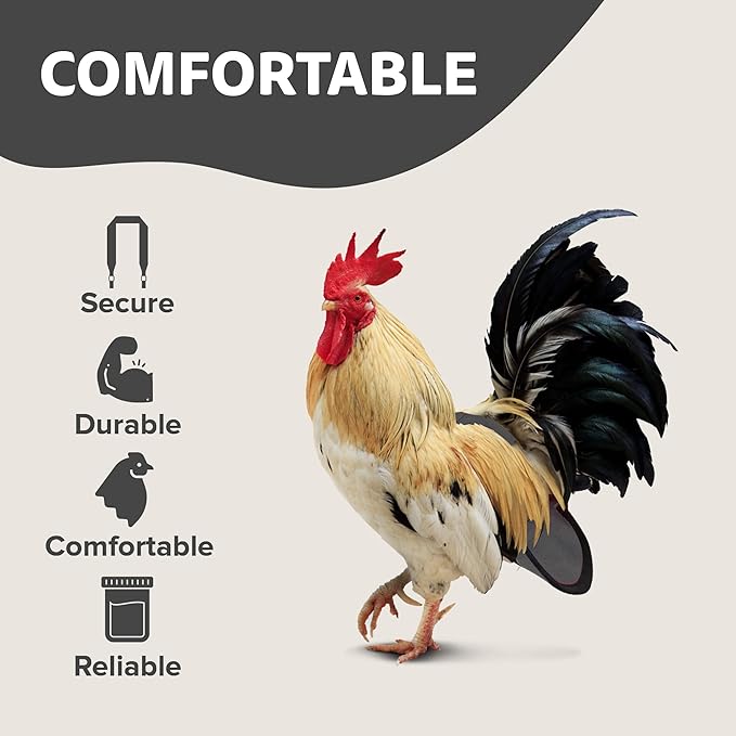 Hen Holster Wrap-Around Bird Diaper & Harness for Hens, Roosters, Ducks, Geese - with Removable Vinyl Liner, Adjustable Fit for Outdoor Adventures & Indoor Use - Easy to wear - Large, Gray