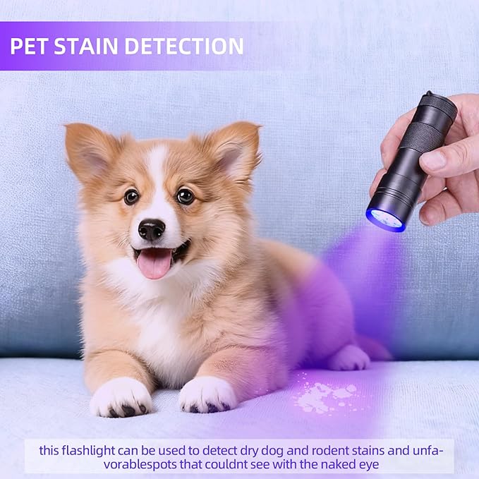 UV Flashlight Black Light–Small Portable Mini 12 LED Blacklight Flashlight for Hidden Stain Detection in Room, Resin Curing,Scorpion & Bed Bug Find,Pet Urine & Dry Stain Detection/Carpets/Rugs/Floors