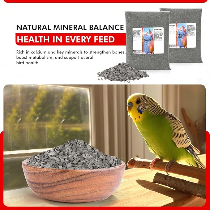 Morning Bird Poultry Grit for Birds 18 lbs (2-Pack, 9 lbs Each) - Mineral-Rich Supplement for Digestion & Calcium Support - Natural Poultry Feed Additive and Chicken Grit for Healthy Birds