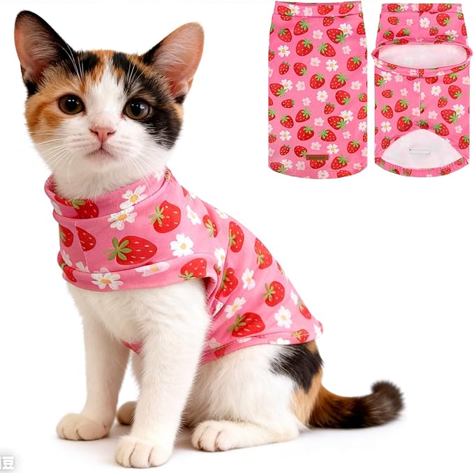 EXPAWLORER Soft Cat Sweater - Sweaters for Cats Only Warm Kitten Clothes, Fall and Winter Pet Coat Pullover Design, Fleece Sweatshirt Clothing Also for Puppy Small Dogs, Strawberry S