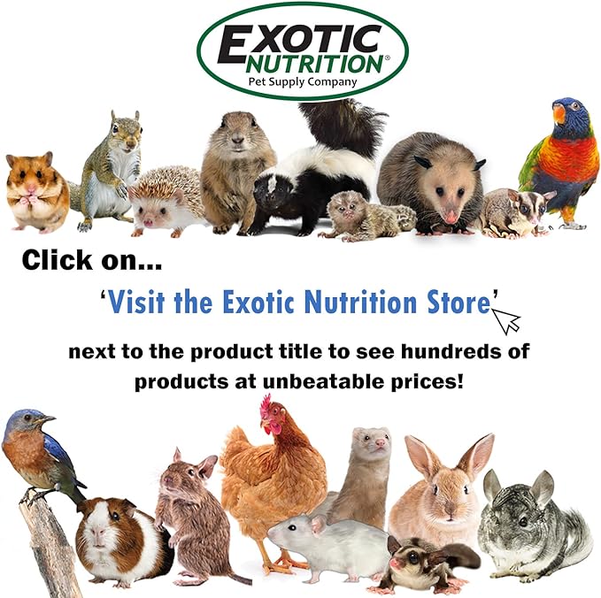 Nectar Pods (Pineapple) - Calcium-Fortified Jelly Fruit Treat - Sugar Gliders, Marmosets, Squirrels, Parrots, Cockatiels, Parakeets, Birds, Hamsters, Day Geckos, Kinkajous & Other Small Pets