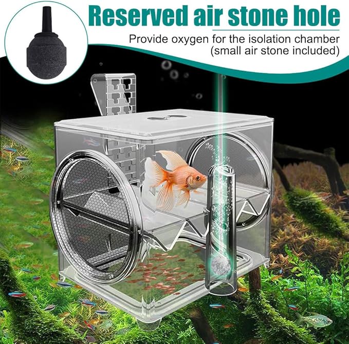 Aquarium Breeding Box,Wall-Mounted Installation Acrylic Tank Hatchery Incubator Box with Feeding Hole for Fish Hatching Rearing