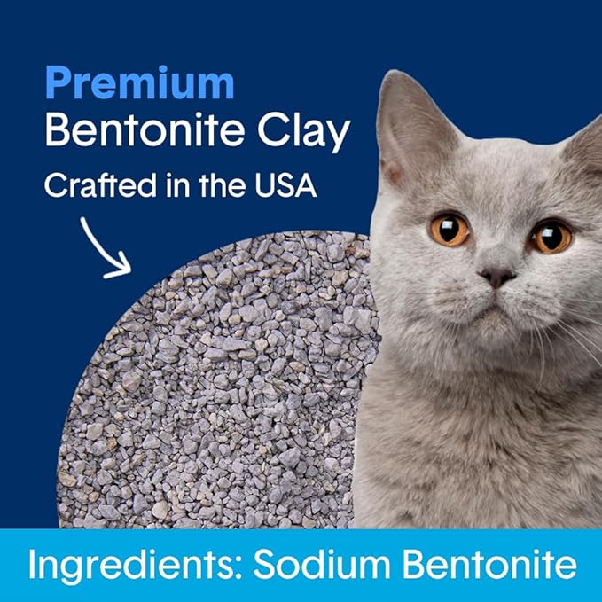 Boxie Unscented 30 Day Odor Control Clumping Clay Cat & Kitty Litter 16 lb, 99.9% Dust-Free, Hard Flat Top Clumps, No Fragrances No Fillers, Long-Lasting, Easy to Scoop (Pack of 2)