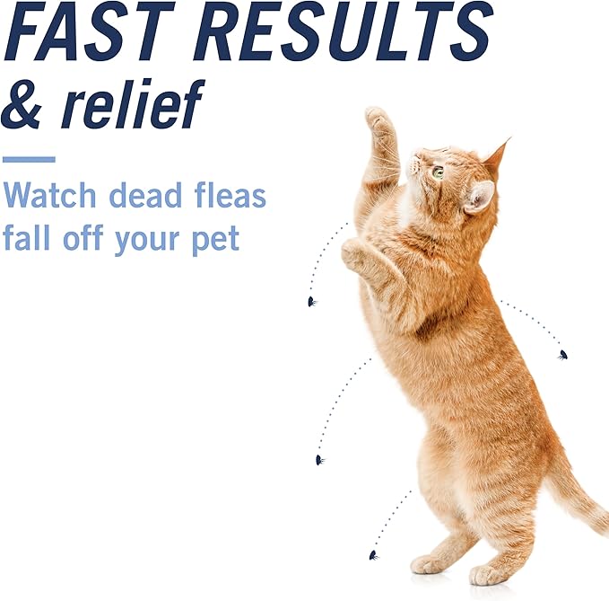 PetArmor Plus Cat, 6ct + PetArmor CapAction Cat, 6ct Treat and Prevent Bundle – Fast Acting and Long Lasting Flea and Tick Care