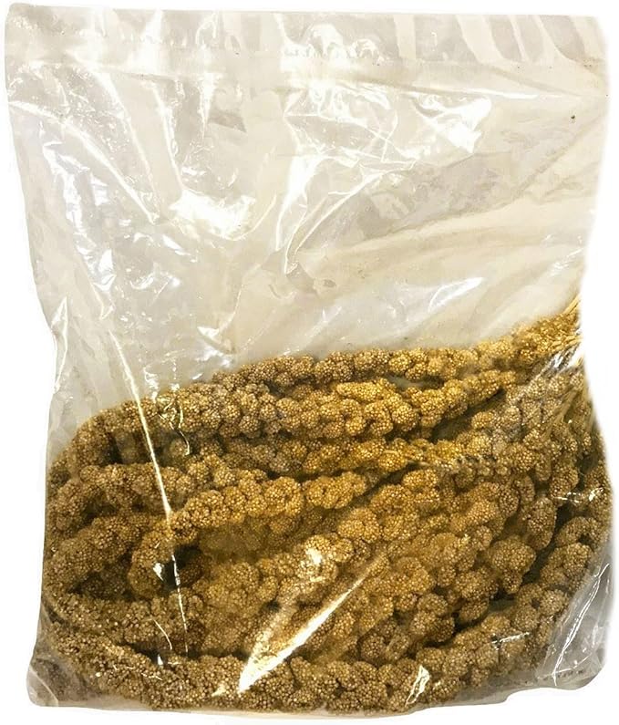 Nemeth Farms 1lb Premium Spray Millet for Exotic Birds – Grown in The USA – 100% Natural & Non‑GMO Bird Treat – Sun‑Dried Millet for Parakeets, Conures, Cockatiels, Parrots & Budgies
