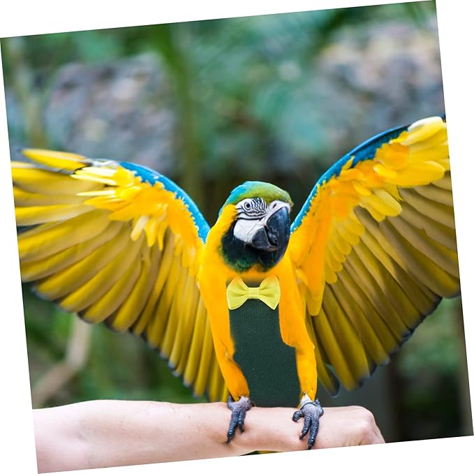 MERRYHAPY Bird Diaper Flight Suit for Parrots and Parakeets Lightweight Clothes for Small Birds and Stylish Nappy for Outdoor Use