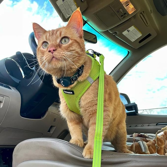 Best Pet Supplies Voyager Step-in Air Harness - All Weather Mesh, Reflective, No Pull Harness for Dogs, Cats - Secure with Hook & Loop Fastener, Buckle, Double D-Rings - Lime Green, XXS