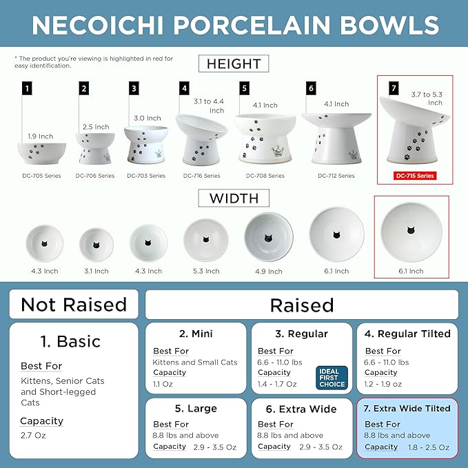 Necoichi Raised Cat Food Bowl – Ceramic Elevated 15° Tilted cat Bowl for Whisker & Neck Fatigue, Dishwasher & Microwave Safe, Non-Slip Anti-Vomiting Design (Fuji, Extra Wide Tilted, 1.5-Cups Capacity)