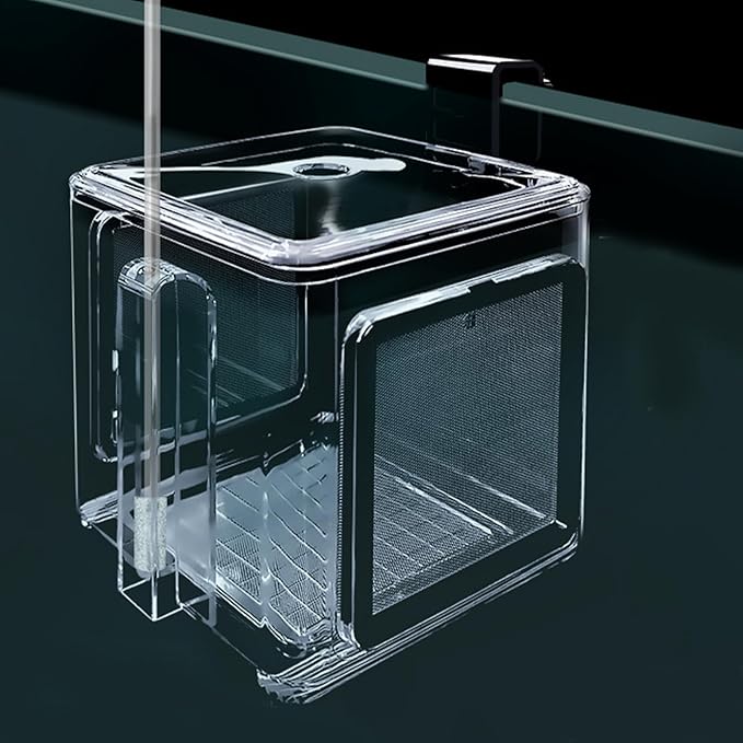 Use Breeder Box - Acrylic Fish Breeding Container, Durable Breeder Divider Incubator, Transparent Hatchery Accessory | Shrimp Guppy Seawater Isolation Tank for Home Aquarium Propagation Hatc