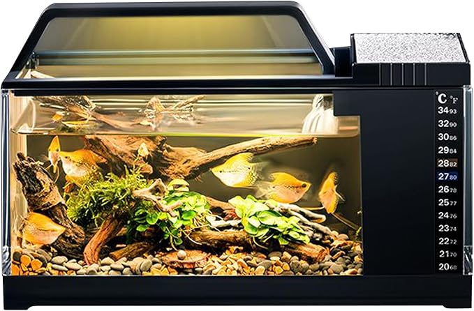 Aquarium Starter Kit - Home Setup Fish Tank Kit, Small LED Filter Bowl | Smart Tabletop Aquatic Tank, Silent Pump Filtration System with Light for Office Desk Room Living Area Display