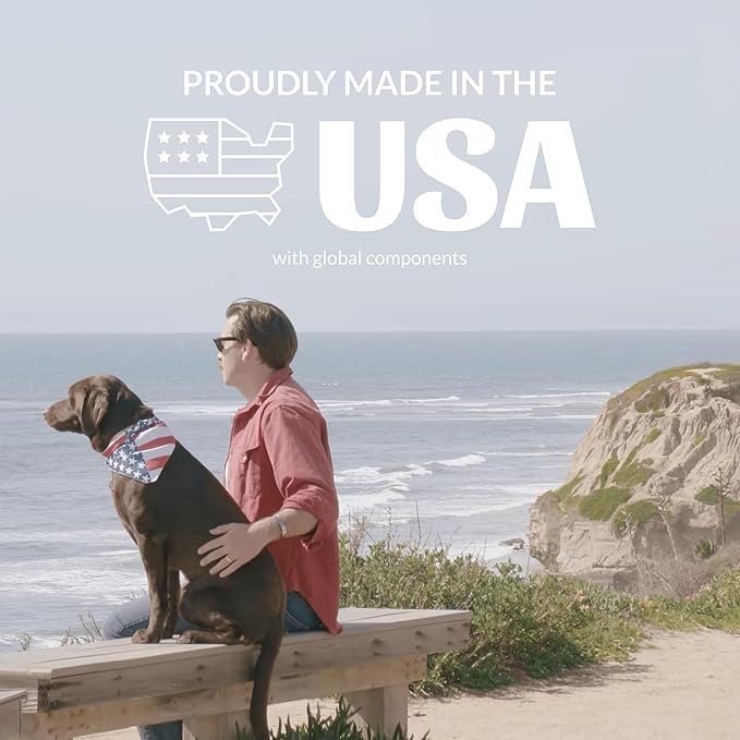SKOUT'S HONOR Pet Stain and Odor Remover - Powerful Cleaner for Dog Urine, sweat, and other messes, Destroys and Removes Odor and Stain Molecules, Eco-Friendly Formula for Carpets and Home, 128oz