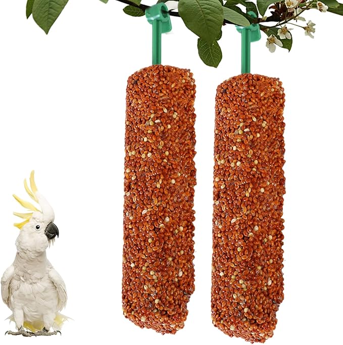 Parakeet Treats Sticks - Training and Chewing Bird Snacks for Parakeets, Finches, Conures with Nutrient-Rich | Reward Food for Myna, Parrot, Foraging, Healthy Snack, 2 Pack