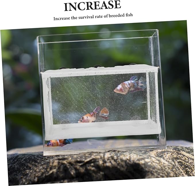Big Size Fish Breeding Net Live Bearer Box for Aquarium Fish Incubator Suction Cups